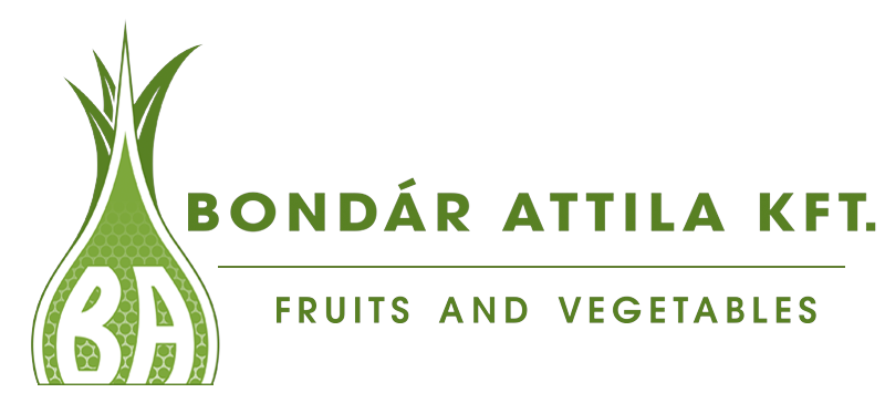 Bondár Attila Kft.